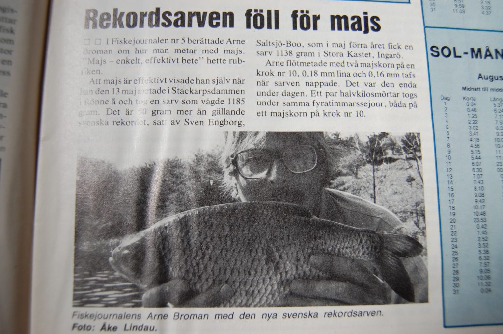 Metet i Sverige: Hur stor är en stor fisk?