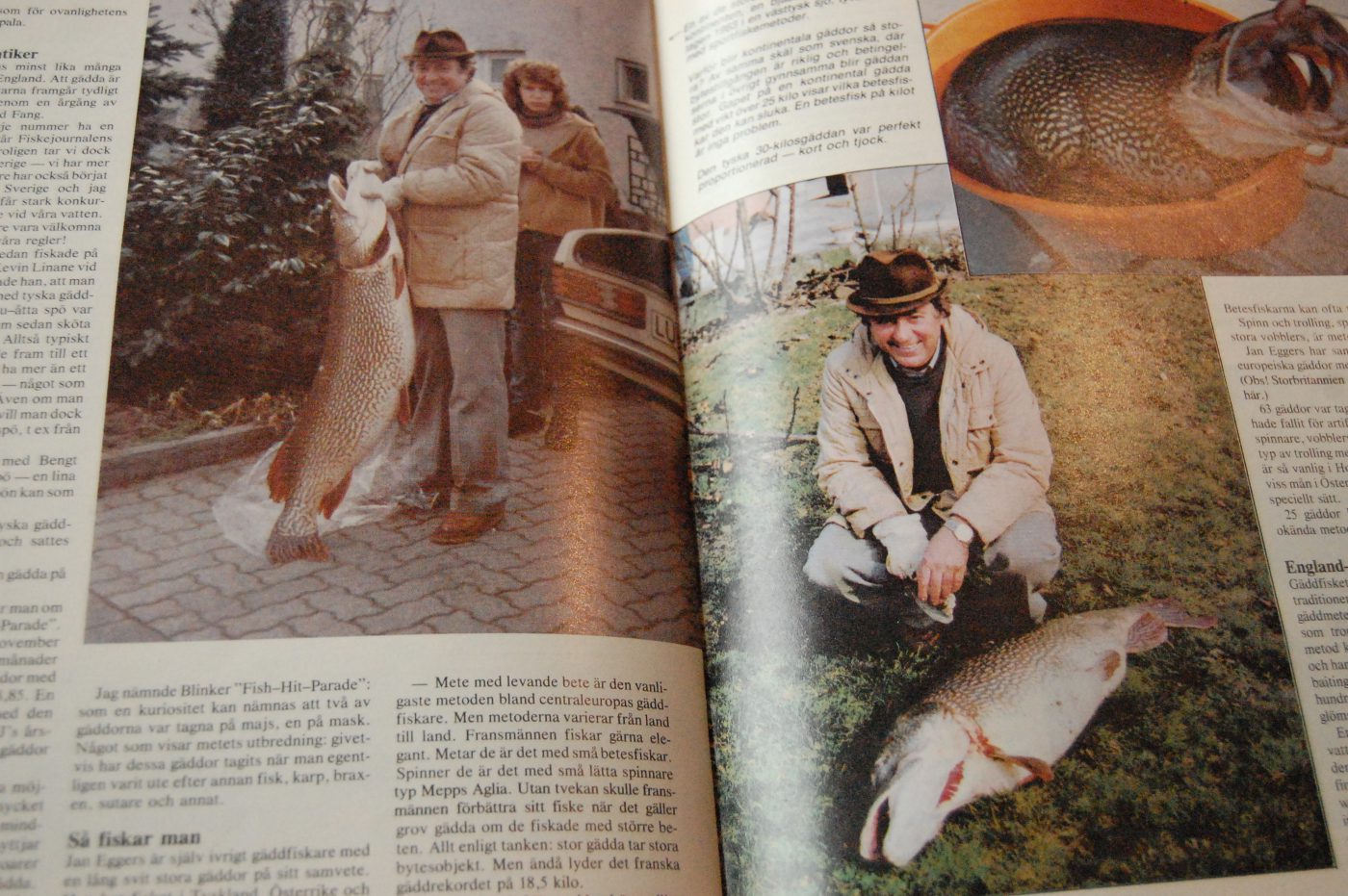Specimenfisket 1984