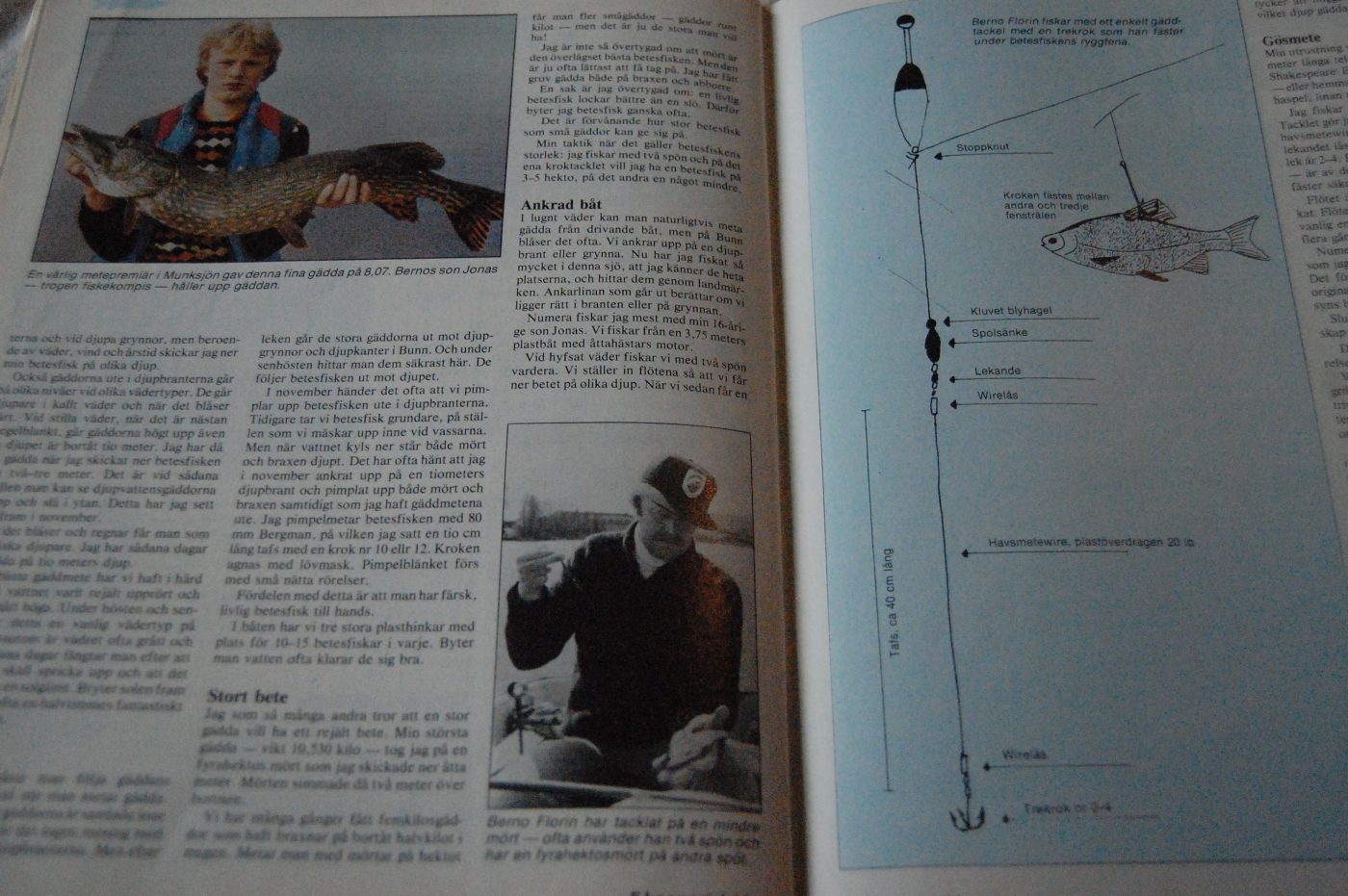 Specimenfisket 1984