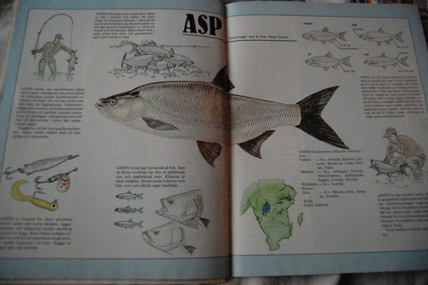 Specimenfisket 1984