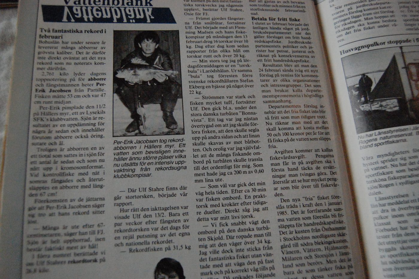 Specimenfisket 1984
