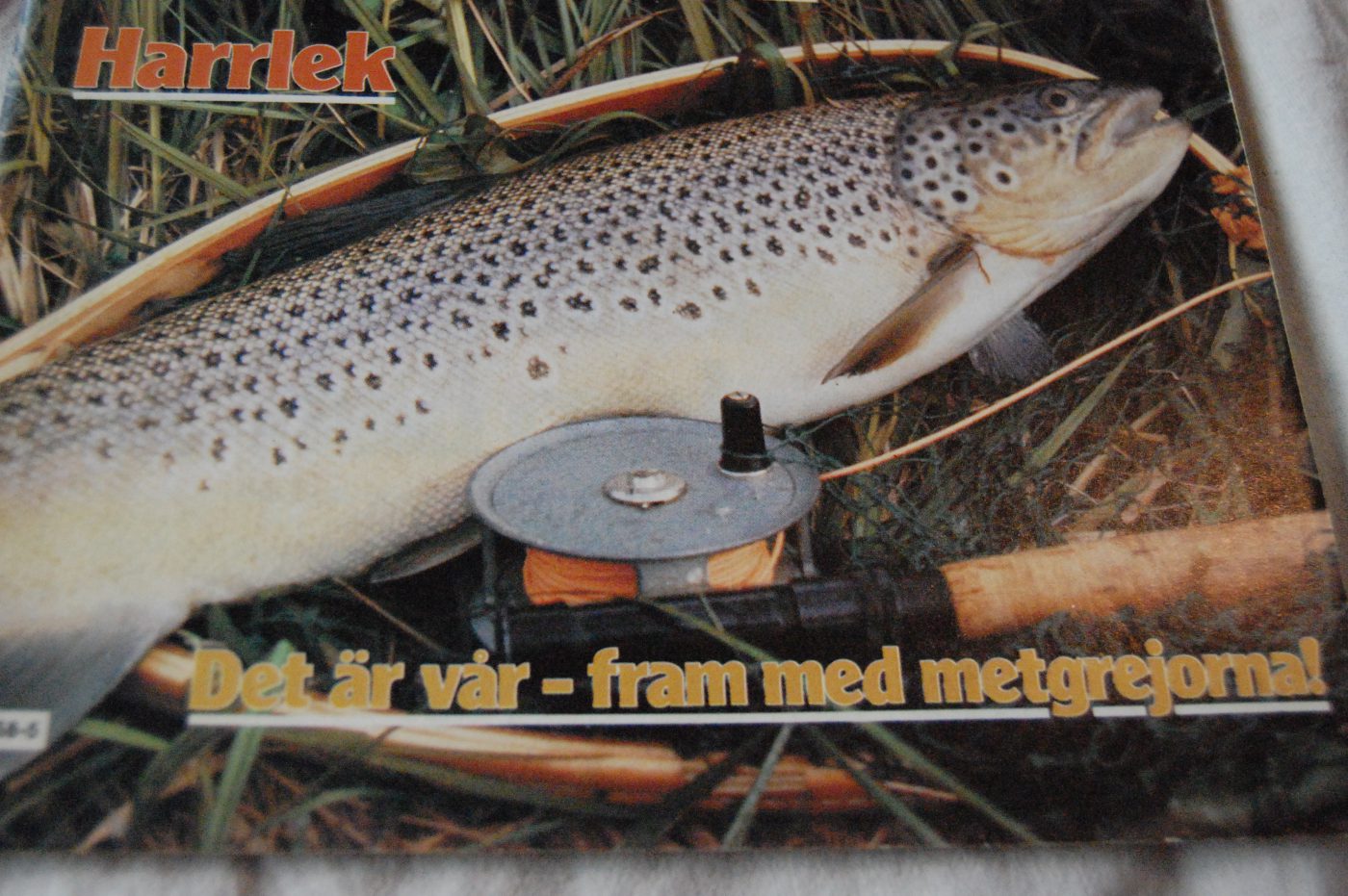 Specimenfisket 1984