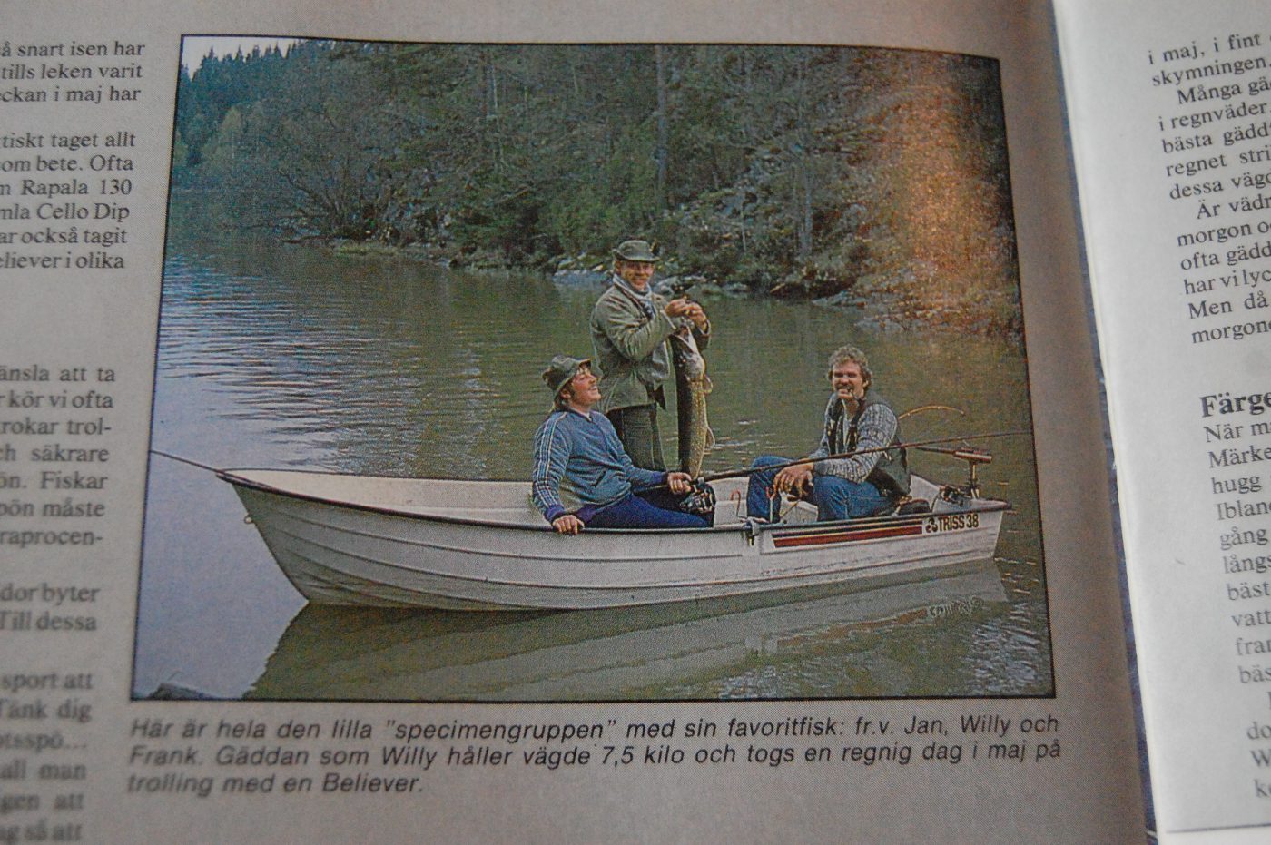 Specimenfisket 1984