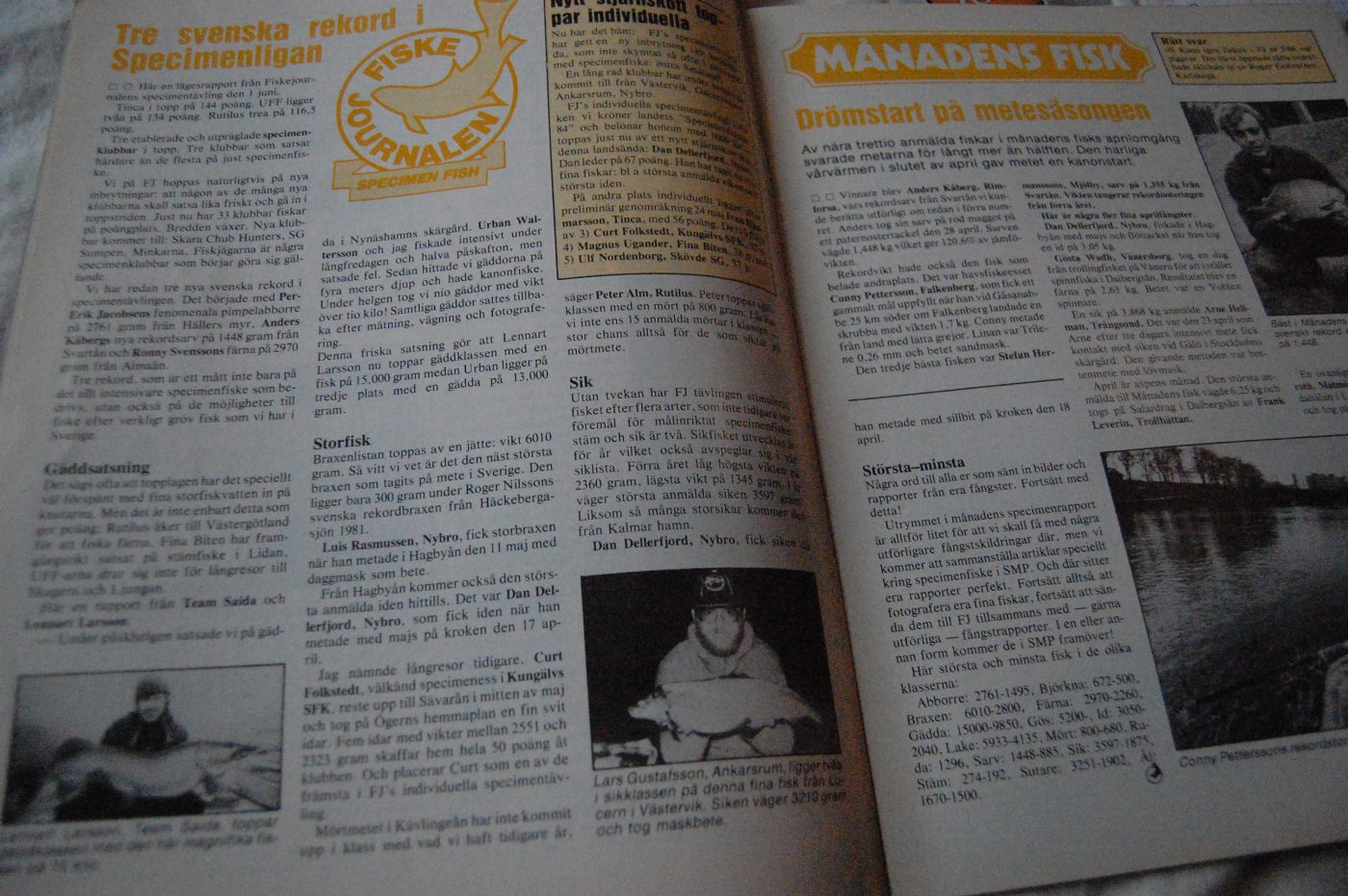 Specimenfisket 1984