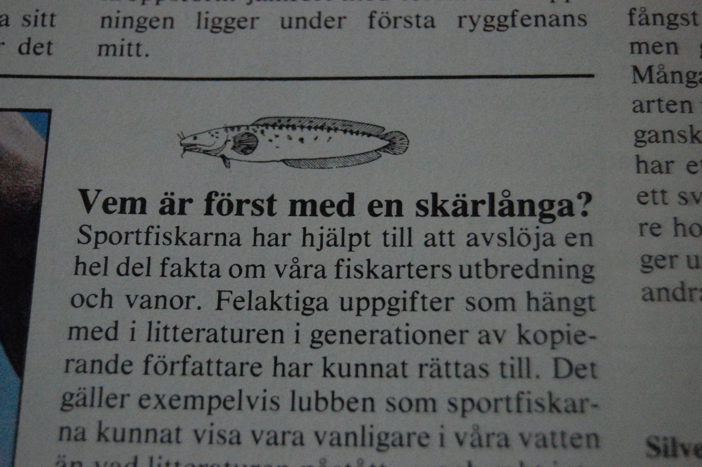 Specimenfisket 1984