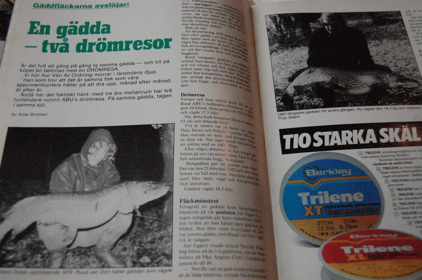 Specimenfisket 1984