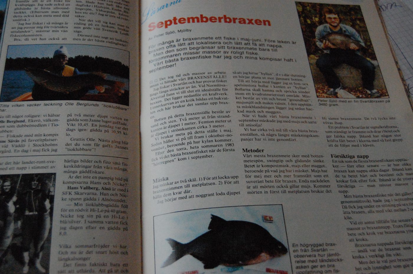 Specimenfisket 1984