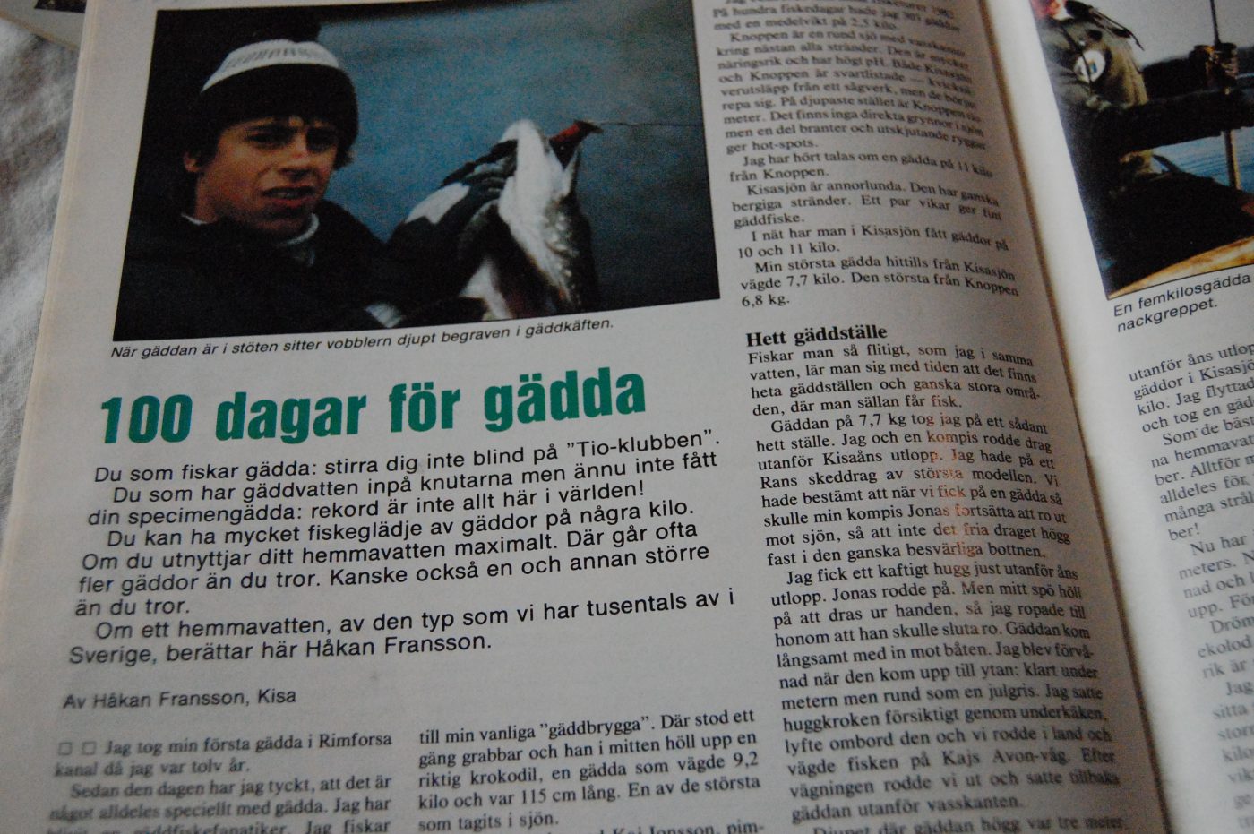 Specimenfisket 1984