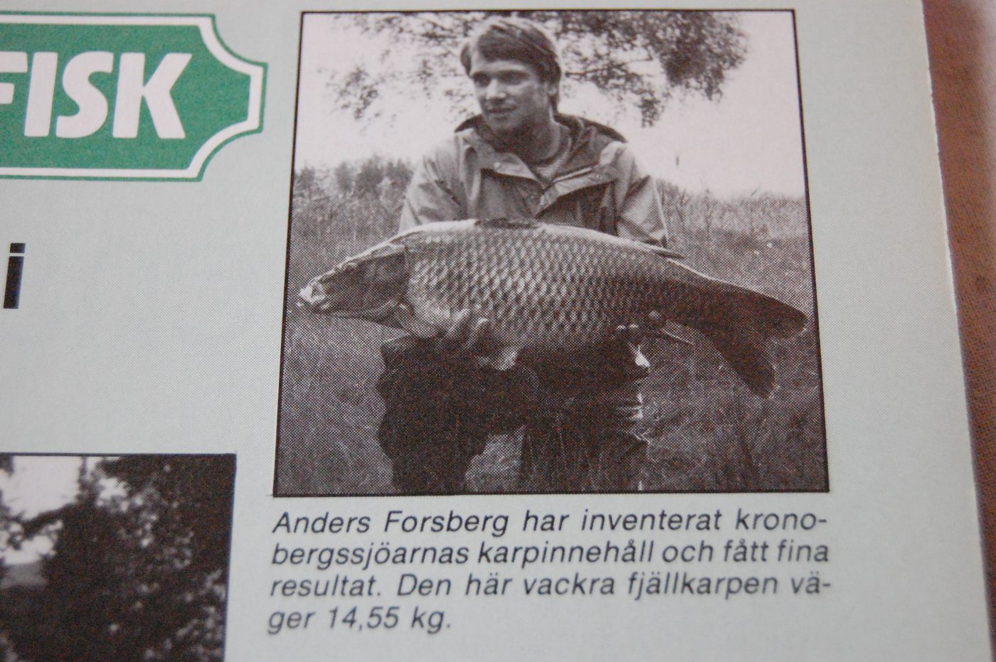 Specimenfisket 1984