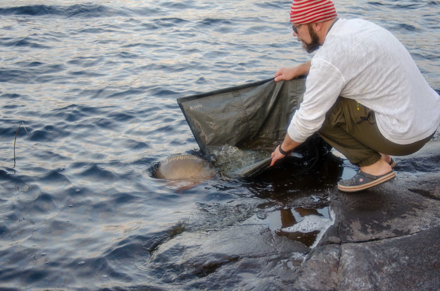 Jocke släpper tillbaka en fin karp