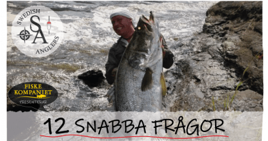 Freebra of Sweden - Originalet - Fri frakt - Snabba leveraner
