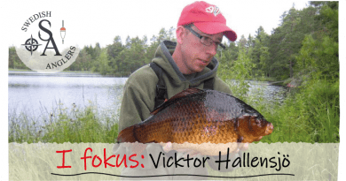 I fokus: Vicktor Hallensjö