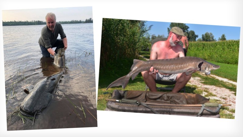 Avsnitt 20 av Swedish Anglers RodPod