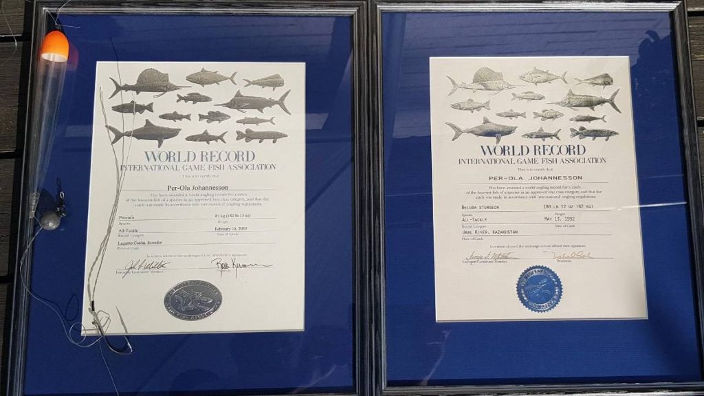 Avsnitt 23 av Swedish Anglers RodPod - POs rekordtavlor