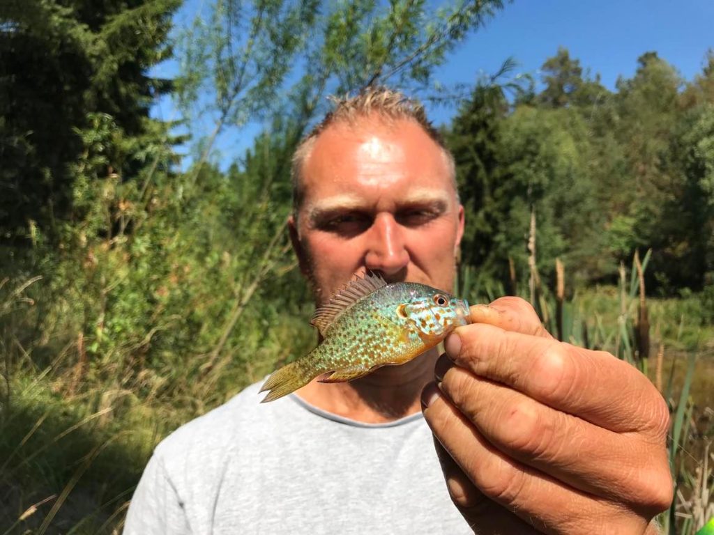 Avsnitt 43 av Swedish Anglers RodPod