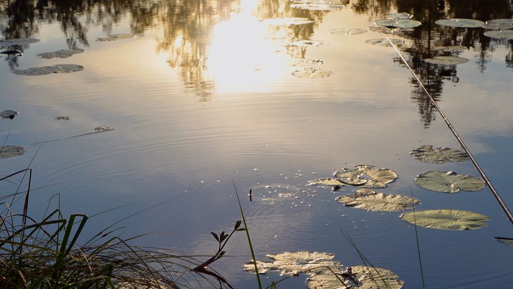 Rudamete i Småland